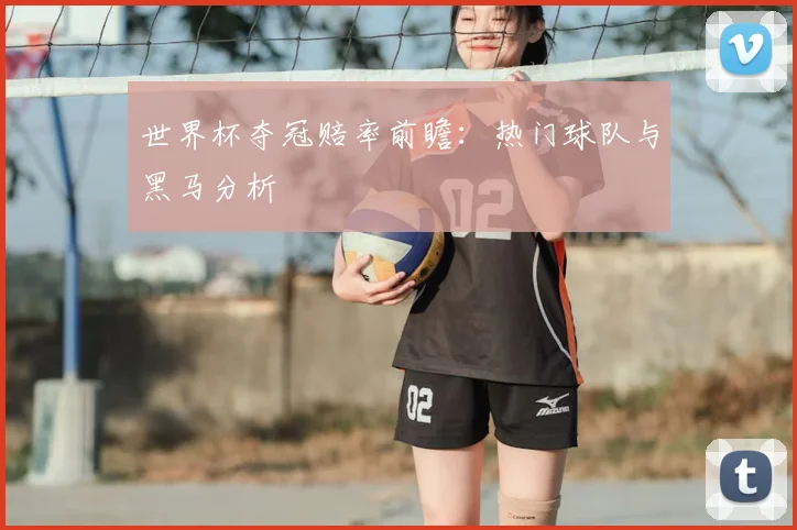 世界杯夺冠赔率前瞻：热门球队与黑马分析