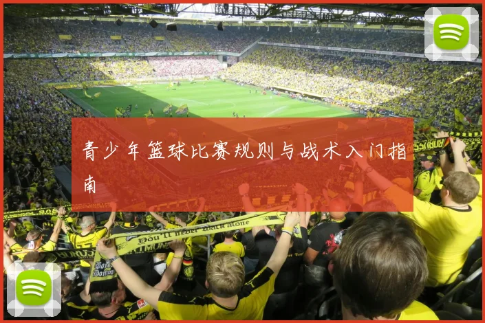 青少年篮球比赛规则与战术入门指南